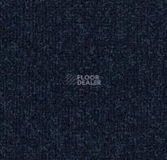 Грязезащитные покрытия Forbo Coral Classic 4727 navy blue фото 1 | FLOORDEALER